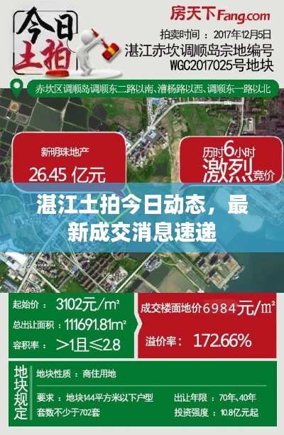 湛江土拍今日动态，最新成交消息速递