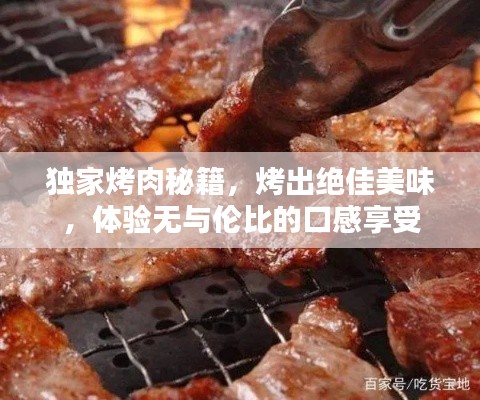 独家烤肉秘籍，烤出绝佳美味，体验无与伦比的口感享受