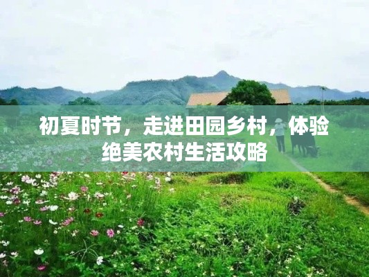 初夏时节，走进田园乡村，体验绝美农村生活攻略
