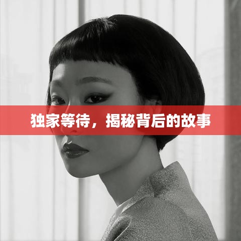 独家等待，揭秘背后的故事