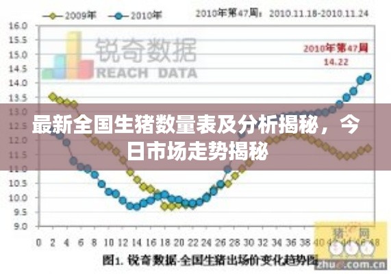 最新全国生猪数量表及分析揭秘，今日市场走势揭秘