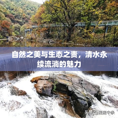 自然之美与生态之责，清水永续流淌的魅力