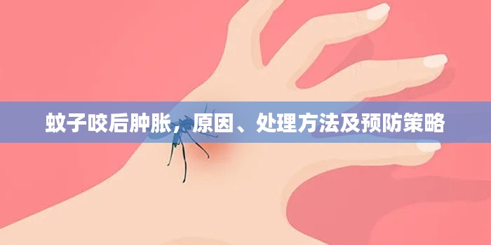 蚊子咬后肿胀，原因、处理方法及预防策略