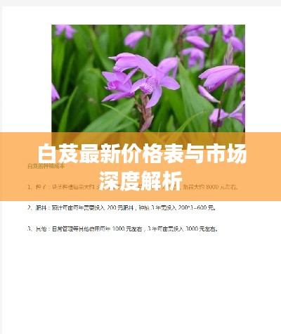 白芨最新价格表与市场深度解析