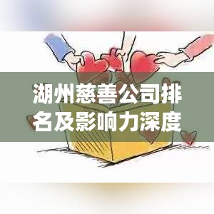 湖州慈善公司排名及影响力深度解析