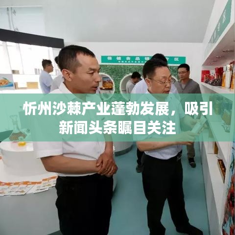 忻州沙棘产业蓬勃发展，吸引新闻头条瞩目关注