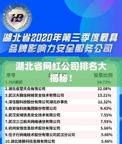 湖北省网红公司排名大揭秘！