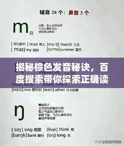 揭秘棕色发音秘诀，百度搜索带你探索正确读音！