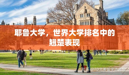 耶鲁大学，世界大学排名中的翘楚表现