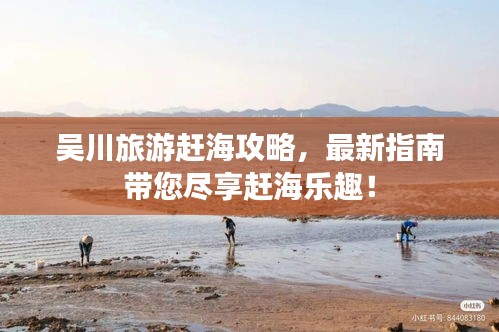 吴川旅游赶海攻略，最新指南带您尽享赶海乐趣！