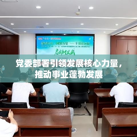 党委部署引领发展核心力量，推动事业蓬勃发展