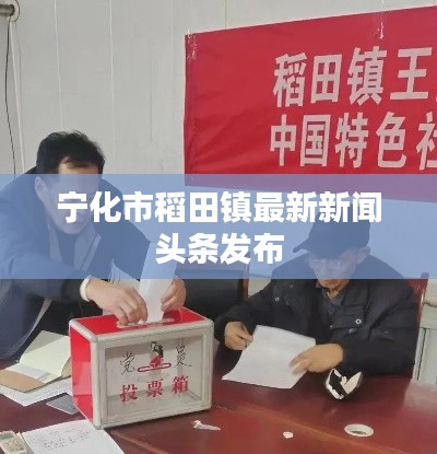 宁化市稻田镇最新新闻头条发布