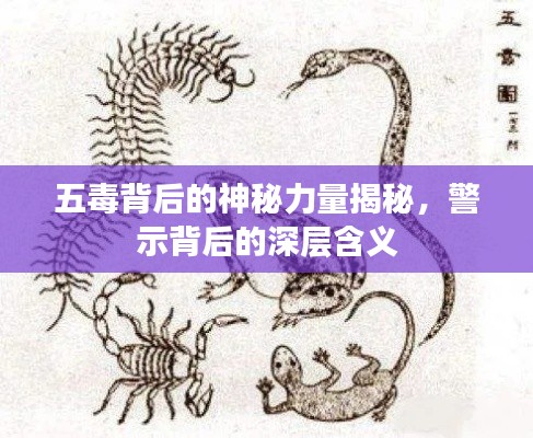 五毒背后的神秘力量揭秘，警示背后的深层含义