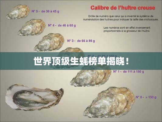 世界顶级生蚝榜单揭晓！