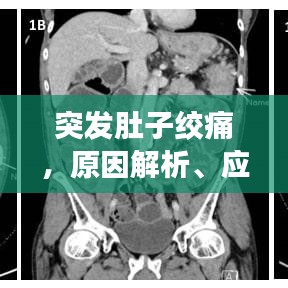 突发肚子绞痛，原因解析、应急处理与预防策略